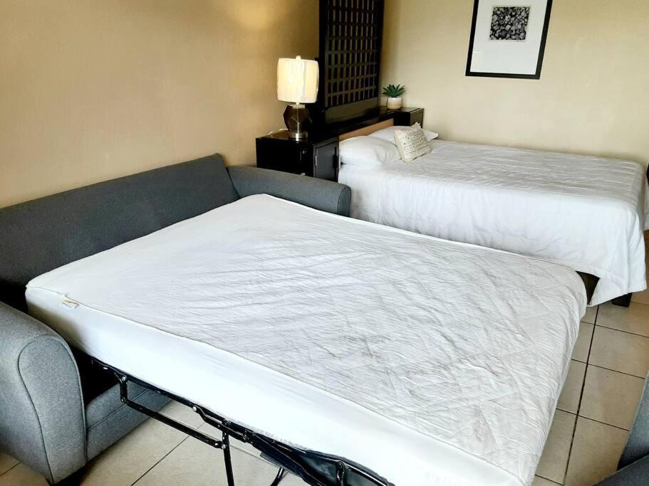 Beautiful One Bedroom Resort-Style Studio With Pool And Beach Access Ruskin Exteriör bild